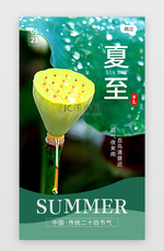 二十四节气夏至app闪屏创意绿色荷花